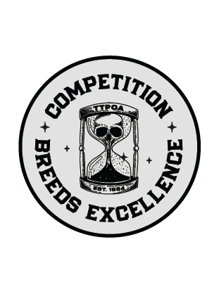 Competition Breeds Excellence Patch